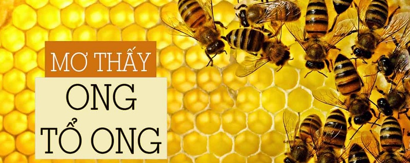 Giải mã giấc mơ: Thấy ong và tổ ong thì nên đánh số lô đề nào?